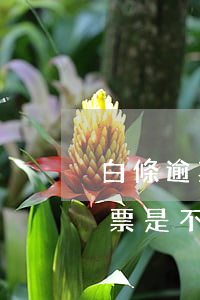 白條逾期寄傳票(京東白條逾期45天收到傳票是不是真的嗎)