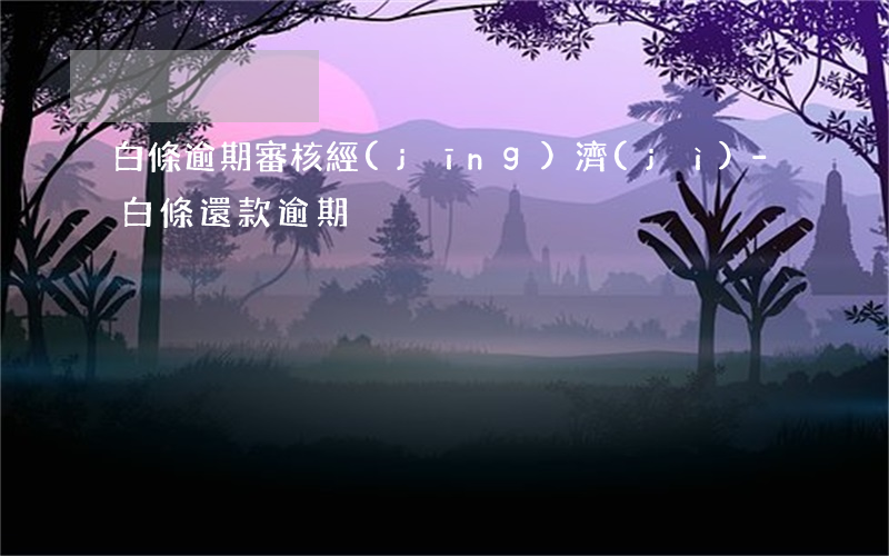白條逾期審核經(jīng)濟(jì)-白條還款逾期