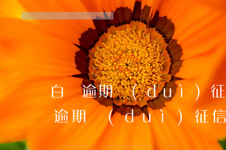 白條逾期對(duì)征信有什么影響（白條逾期對(duì)征信有影響么）