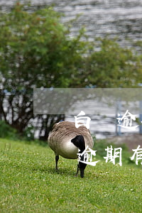 白條逾期對(duì)金條有什么影響(白條逾期有啥影響嗎)