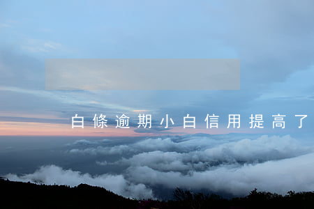 白條逾期小白信用提高了（信用白條逾期吧）