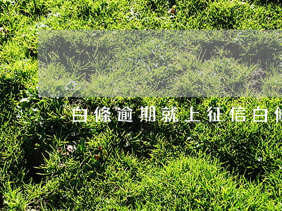 白條逾期就上征信(白條不逾期上征信)