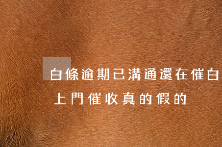 白條逾期已溝通還在催(白條逾期3個月多了上門催收真的假的)