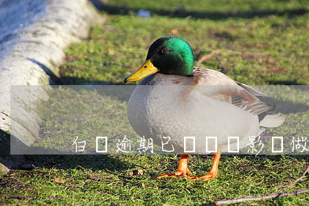 白條逾期已經還會影響做高鐵嘛