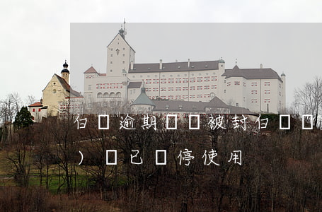 白條逾期帳號被封(白條賬號有風(fēng)險已暫停使用)