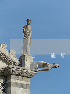 白條逾期幾個月還能用嗎
