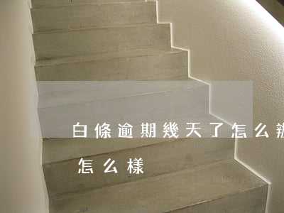 白條逾期幾天了怎么辦(白條如果逾期幾天會怎么樣)