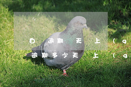 白條逾期幾天會上個(gè)人征信-白條逾期多少天會上個(gè)人征信
