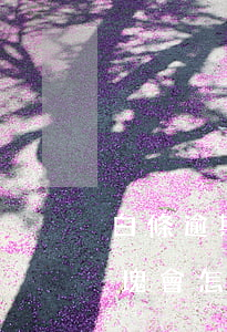 白條逾期幾百塊錢會上征信嗎(白條逾期兩百塊會怎么樣)