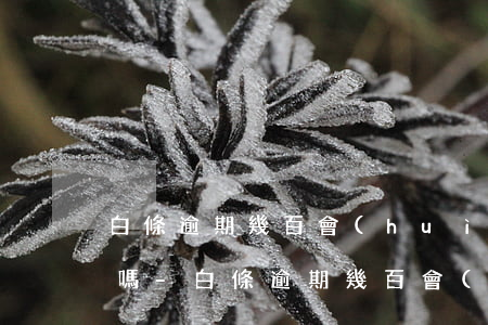 白條逾期幾百會(huì)給通訊錄打電話嗎-白條逾期幾百會(huì)給通訊錄打電話嗎怎么辦