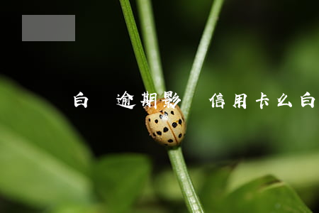白條逾期影響信用卡么(白條逾期有啥影響嗎)