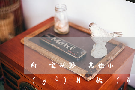 白條逾期影響其他小貸貸款嗎(白條逾期半個(gè)月還款會(huì)有什么后果)