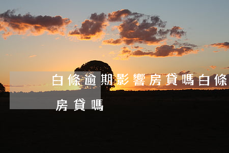 白條逾期影響房貸嗎(白條不逾期會影響以后房貸嗎)