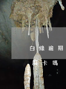 白條逾期影響辦信用卡嗎(白條逾期影響辦信用卡嗎)