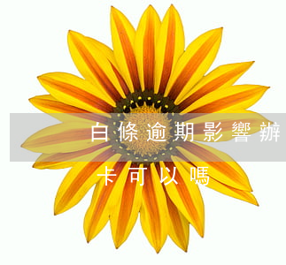 白條逾期影響辦理銀行卡嗎?（白條逾期辦信用卡可以嗎）