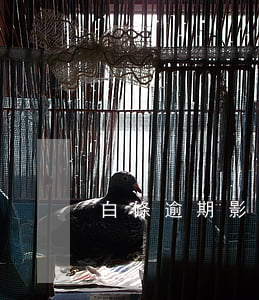 白條逾期影響銀行入職嘛