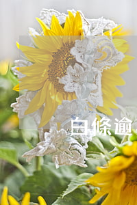 白條逾期微信(白條逾期加微信)