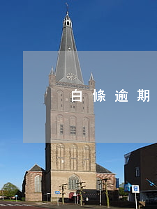白條逾期怎么刪除(白條怎么還逾期)