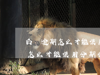 白條逾期怎么才能使用分期付款-白條逾期怎么才能使用分期付款呢