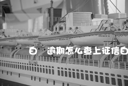 白條逾期怎么查上征信(白條逾期上征信記錄嗎)