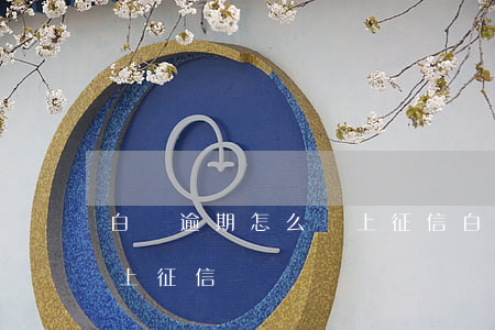 白條逾期怎么沒上征信 白條沒有逾期會不會上征信記錄嗎