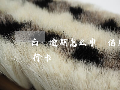 白條逾期怎么申請信用卡(白條逾期能辦理銀行卡嗎)
