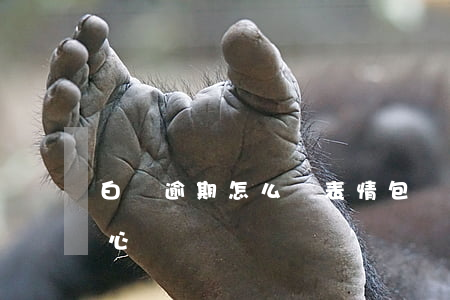 白條逾期怎么辦表情包(為什么白條逾期很惡心)