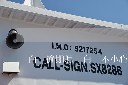 白條逾期怎樣(白條不小心逾期)