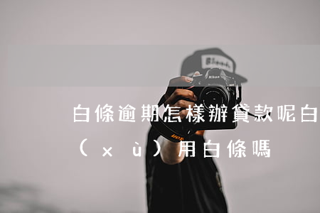 白條逾期怎樣辦貸款呢(白條逾期了還能繼續(xù)用白條嗎)