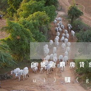 白條逾期房貸放款了-白條逾期5天對(duì)購(gòu)房貸款有影響嗎?