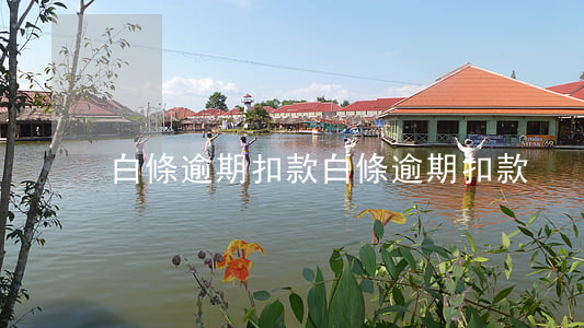 白條逾期扣款(白條逾期扣款)