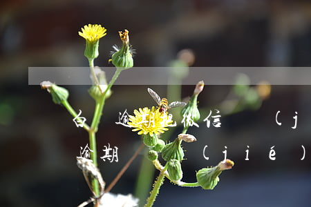 白條逾期把微信凍結(jié)了(京東白條逾期會凍結(jié)微信嗎)