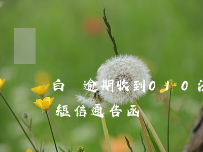 白條逾期收到010法院短信(白條逾期收到短信通告函)