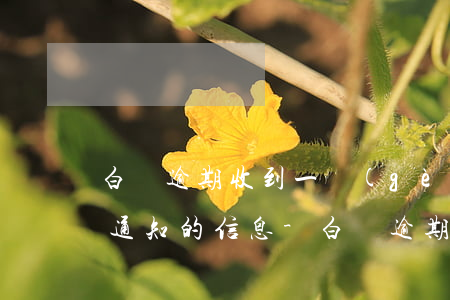 白條逾期收到一個(gè)開(kāi)庭通知的信息-白條逾期收到一個(gè)開(kāi)庭通知的信息怎么辦