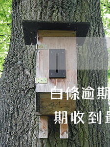 白條逾期收到最終通知短信說立案-白條逾期收到最終通知短信說立案了