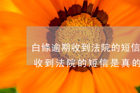 白條逾期收到法院的短信是真的嗎(白條逾期收到法院的短信是真的嗎?)