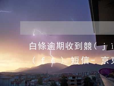 白條逾期收到競(jìng)岳律所給我發(fā)短信-京東白條逾期收到電子律師函
