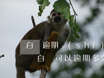 白條逾期時(shí)間長會(huì)怎樣(白條可以逾期多久呢)