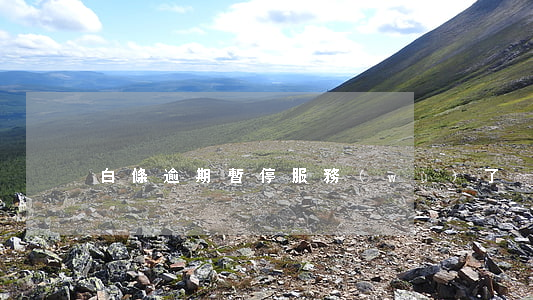 白條逾期暫停服務(wù)了
