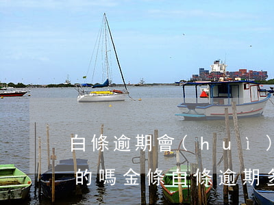 白條逾期會(huì)上門(mén)是真的嗎(金條白條逾期多久會(huì)上門(mén))