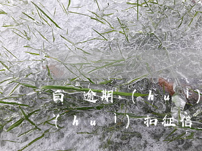 白條逾期會(huì)入征信嗎(白條逾期會(huì)扣征信嗎)