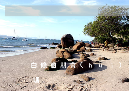 白條逾期會(huì)凍結(jié)微信嗎