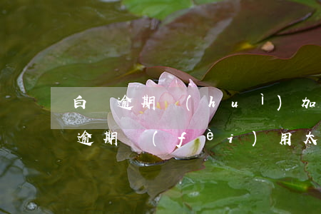 白條逾期會(huì)加利息怎么算-白條逾期費(fèi)用太嚇人