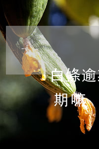白條逾期會(huì)封微信嗎(白條可以逾期嘛)