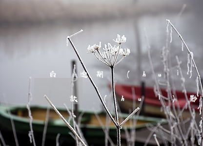 白條逾期會(huì)影響信用卡(白條延期還款會(huì)影響信用嗎)