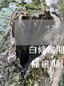 白條逾期會(huì)影響花唄升額度-白條逾期上征信嗎?花唄逾期有什么后果