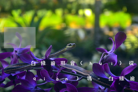 白條逾期會(huì)從別的銀行卡扣錢(qián)嗎-白條逾期會(huì)從別的銀行卡扣錢(qián)嗎怎么辦