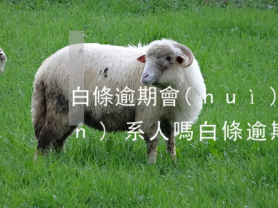 白條逾期會(huì)打電話給聯(lián)系人嗎（白條逾期一天會(huì)打緊急聯(lián)系人嗎）
