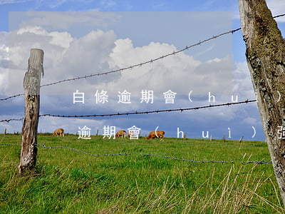 白條逾期會(huì)扣銀行卡的錢嗎(白條逾期會(huì)強(qiáng)制扣卡里的錢嗎)