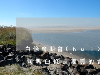 白條逾期會(huì)聯(lián)系公司嗎(白條逾期真的會(huì)立案嗎)